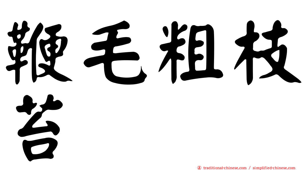 鞭毛粗枝苔