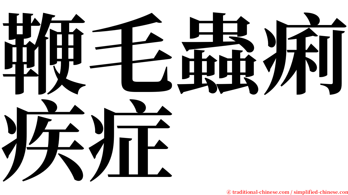鞭毛蟲痢疾症 serif font