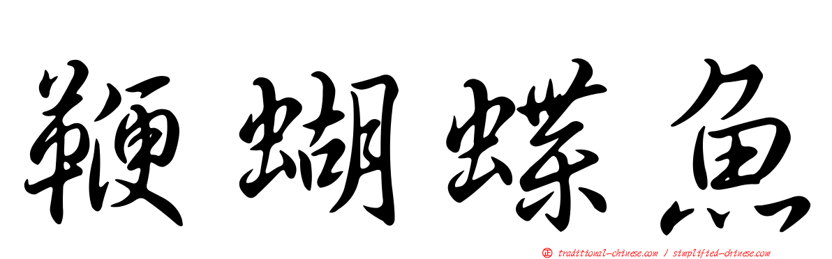 鞭蝴蝶魚