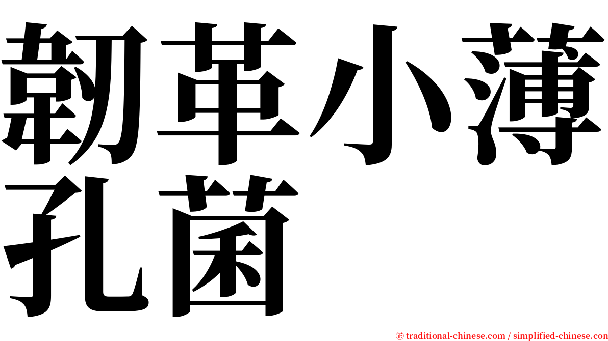 韌革小薄孔菌 serif font
