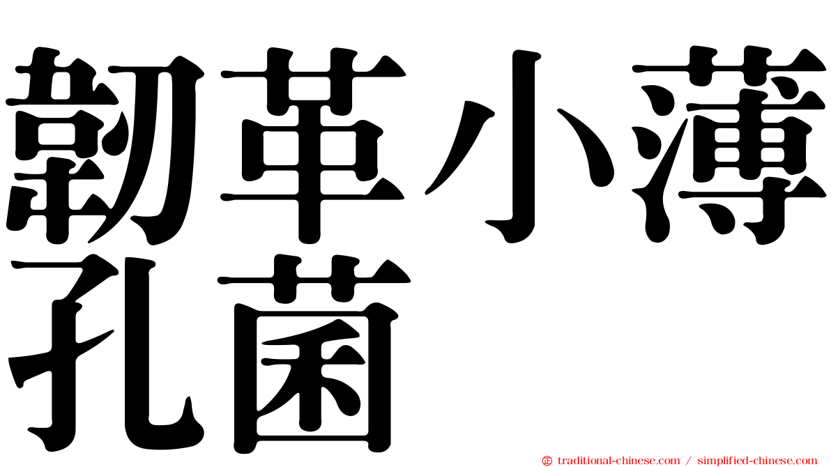 韌革小薄孔菌
