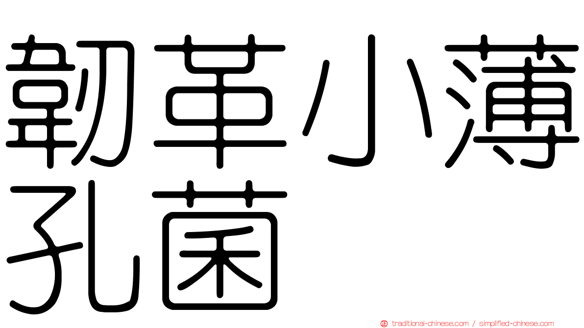 韌革小薄孔菌