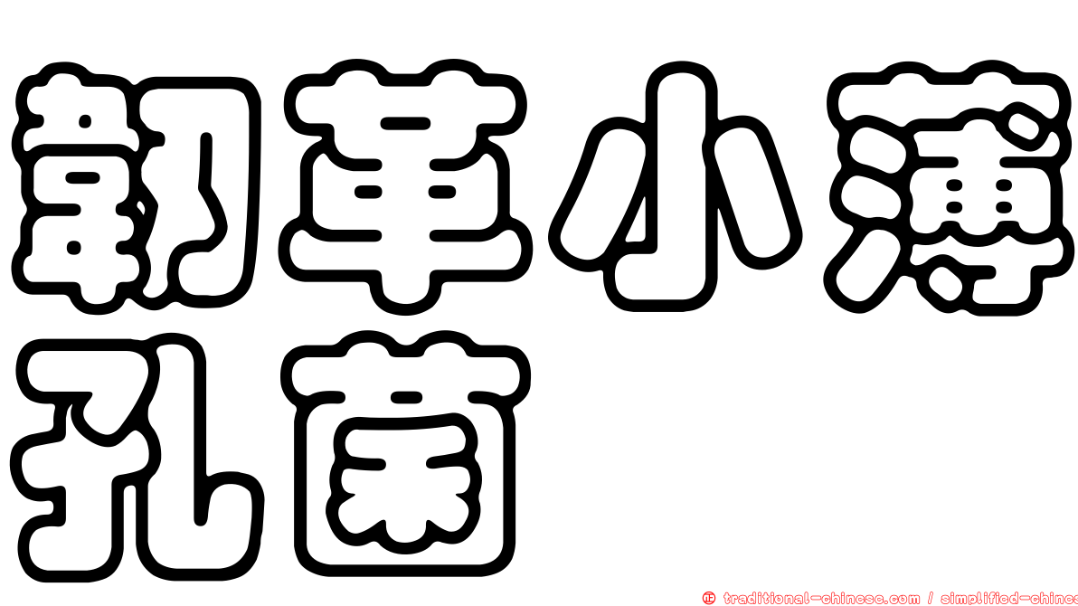 韌革小薄孔菌