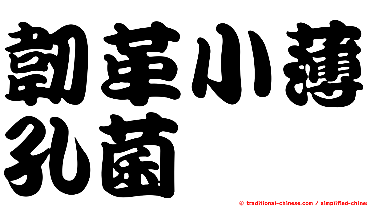 韌革小薄孔菌