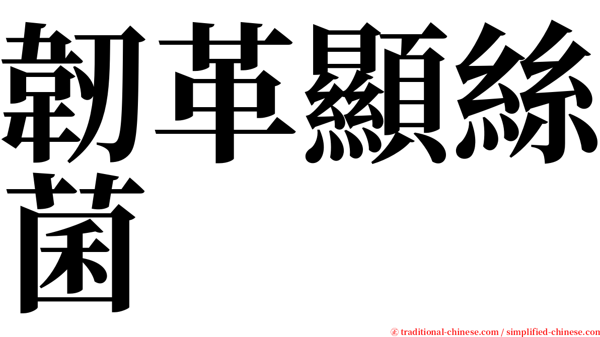 韌革顯絲菌 serif font