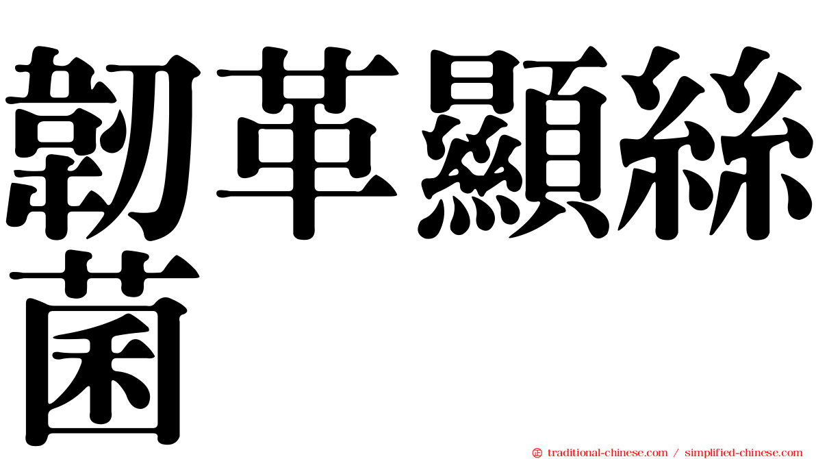韌革顯絲菌