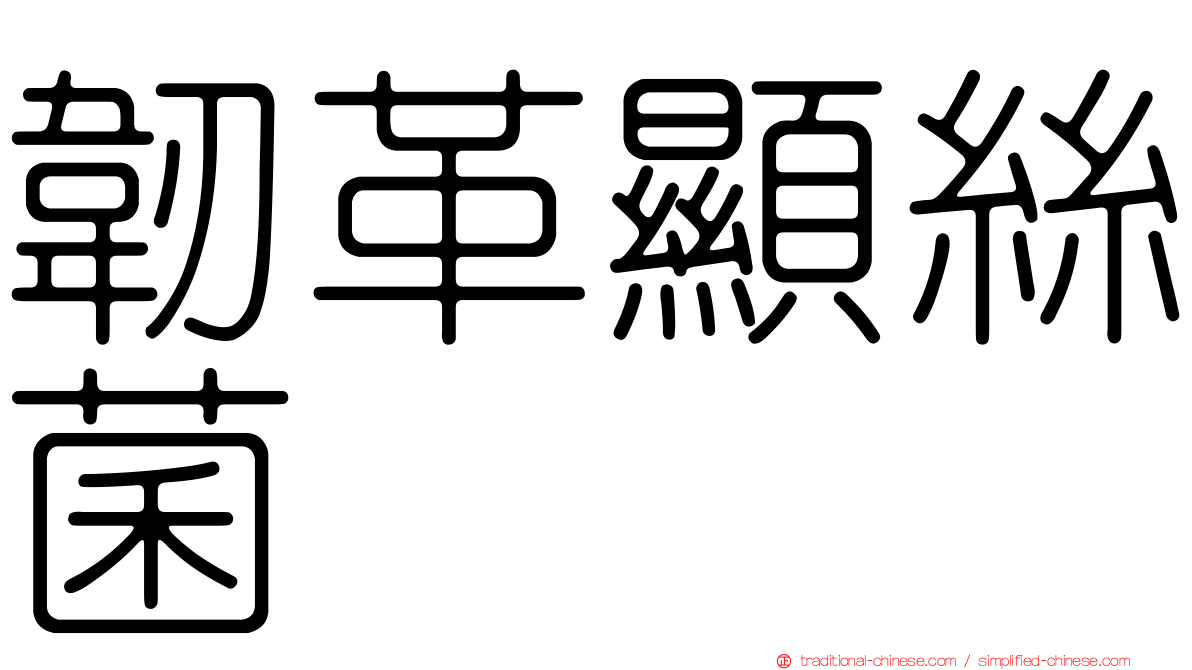 韌革顯絲菌