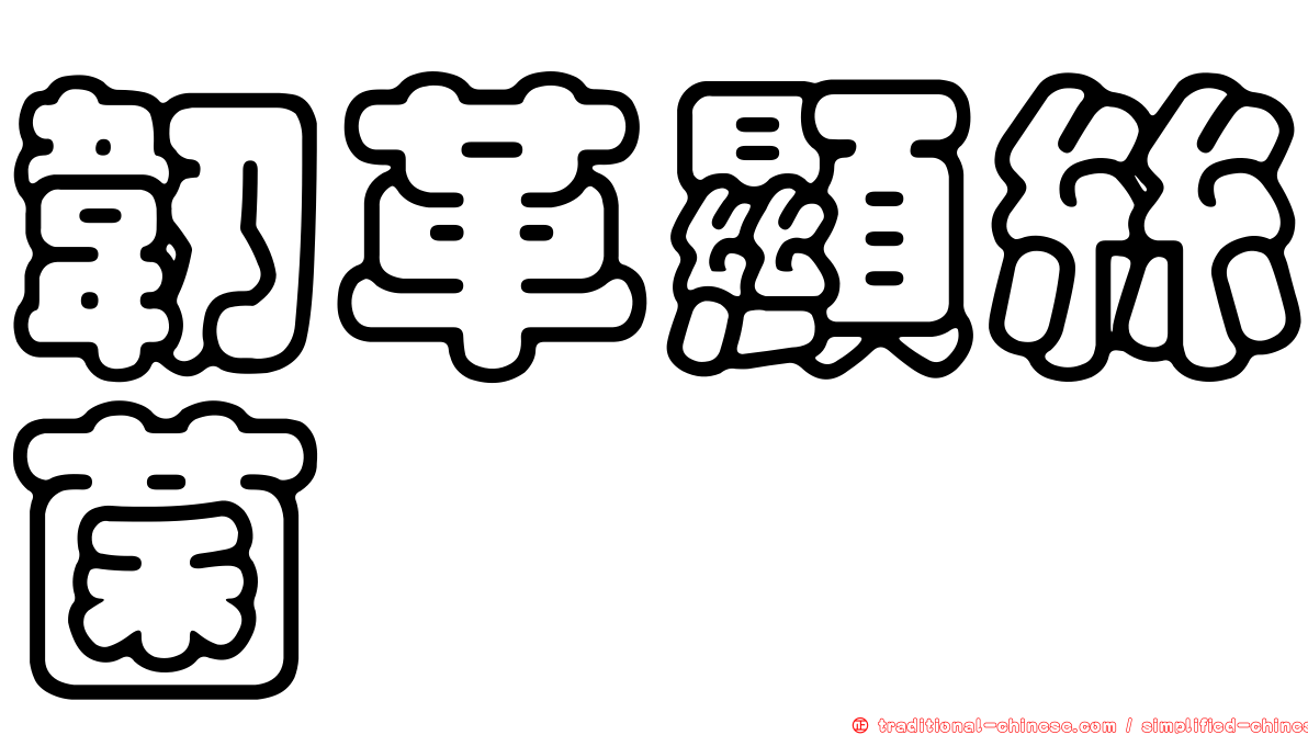 韌革顯絲菌
