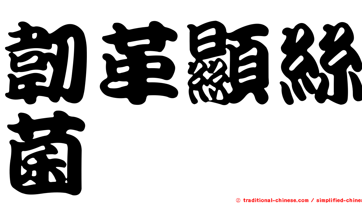 韌革顯絲菌