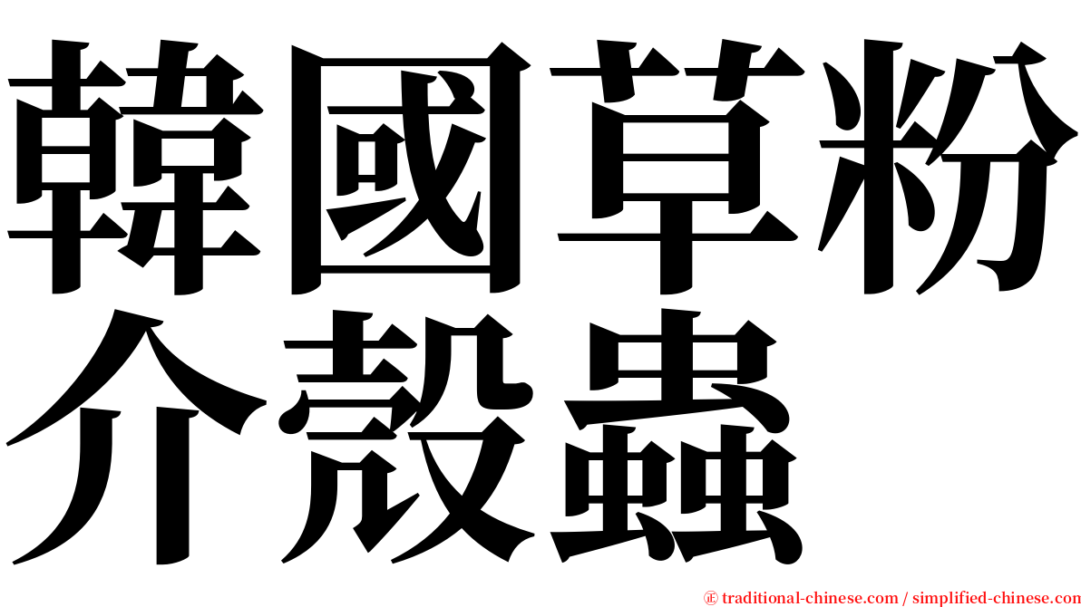 韓國草粉介殼蟲 serif font