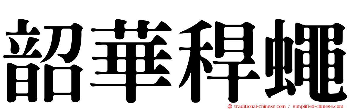 韶華稈蠅