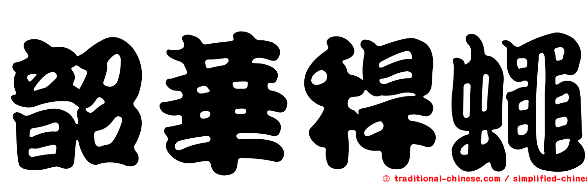 韶華稈蠅