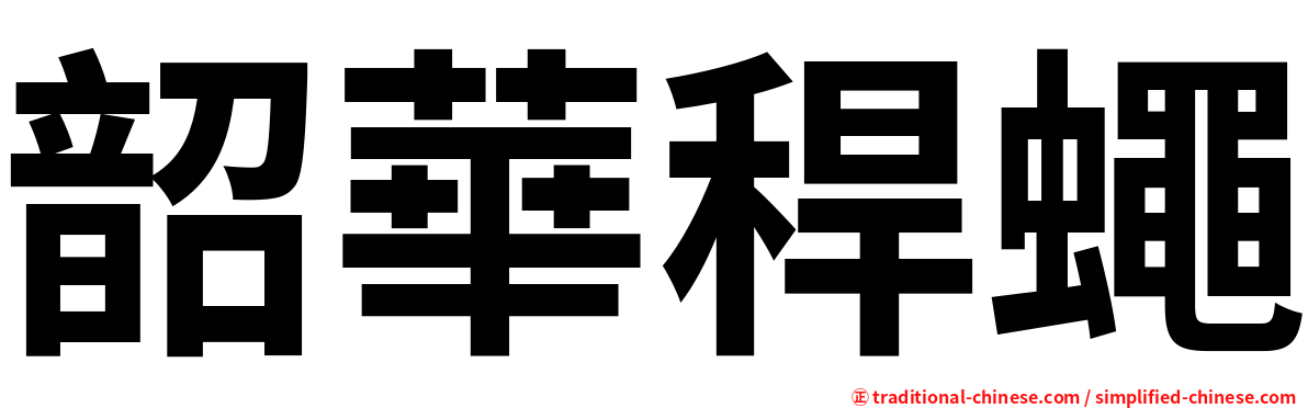 韶華稈蠅