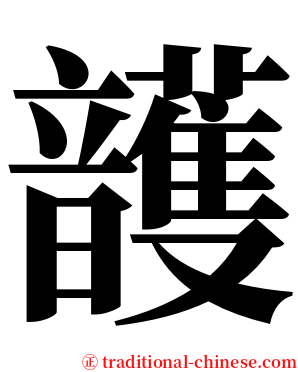 頀 serif font