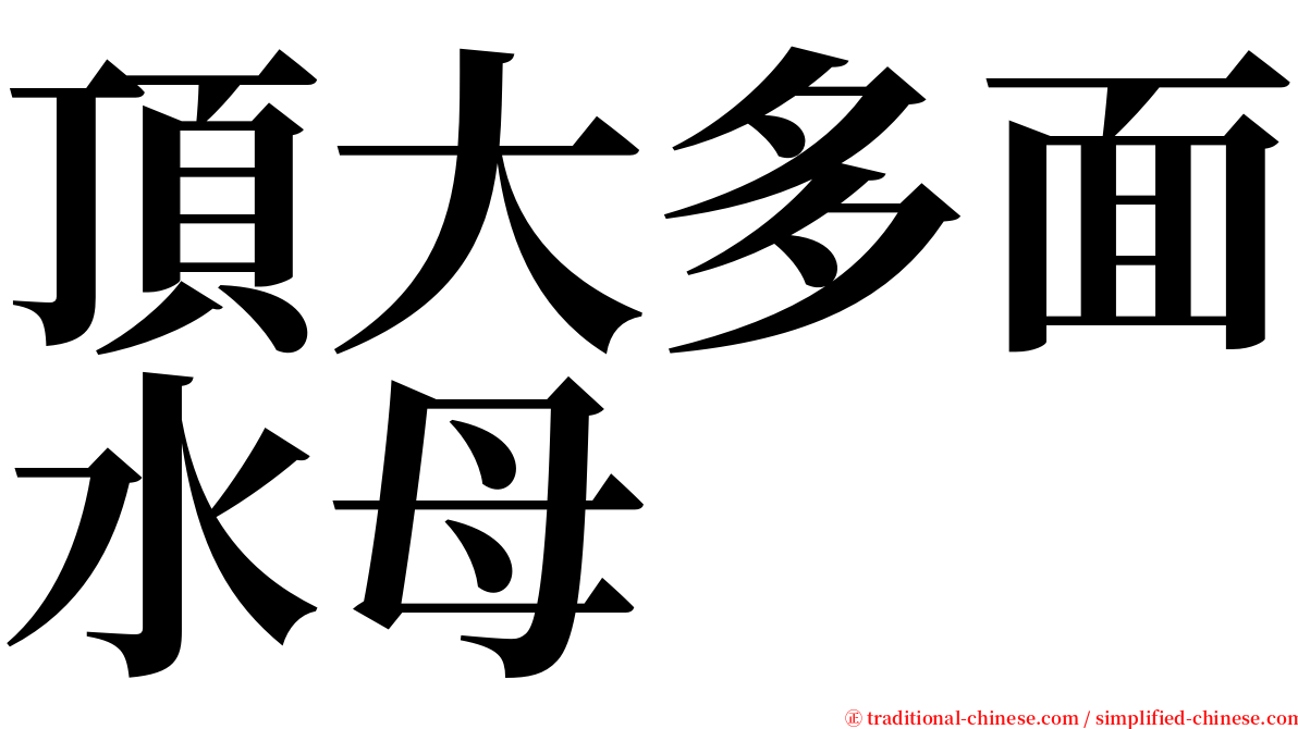 頂大多面水母 serif font