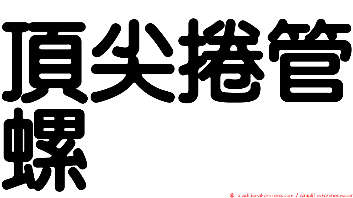 頂尖捲管螺