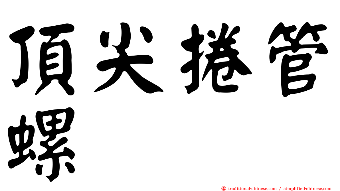 頂尖捲管螺