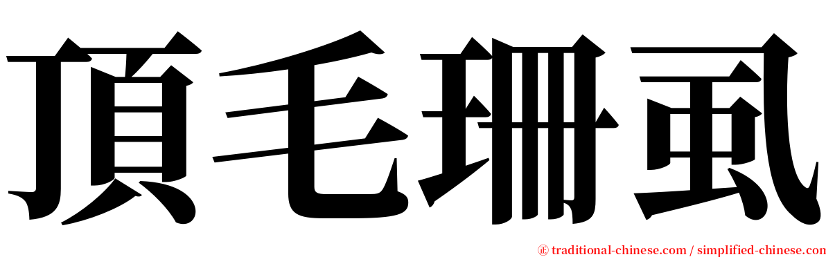 頂毛珊虱 serif font