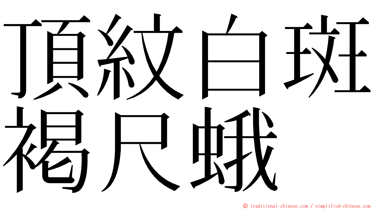 頂紋白斑褐尺蛾 ming font