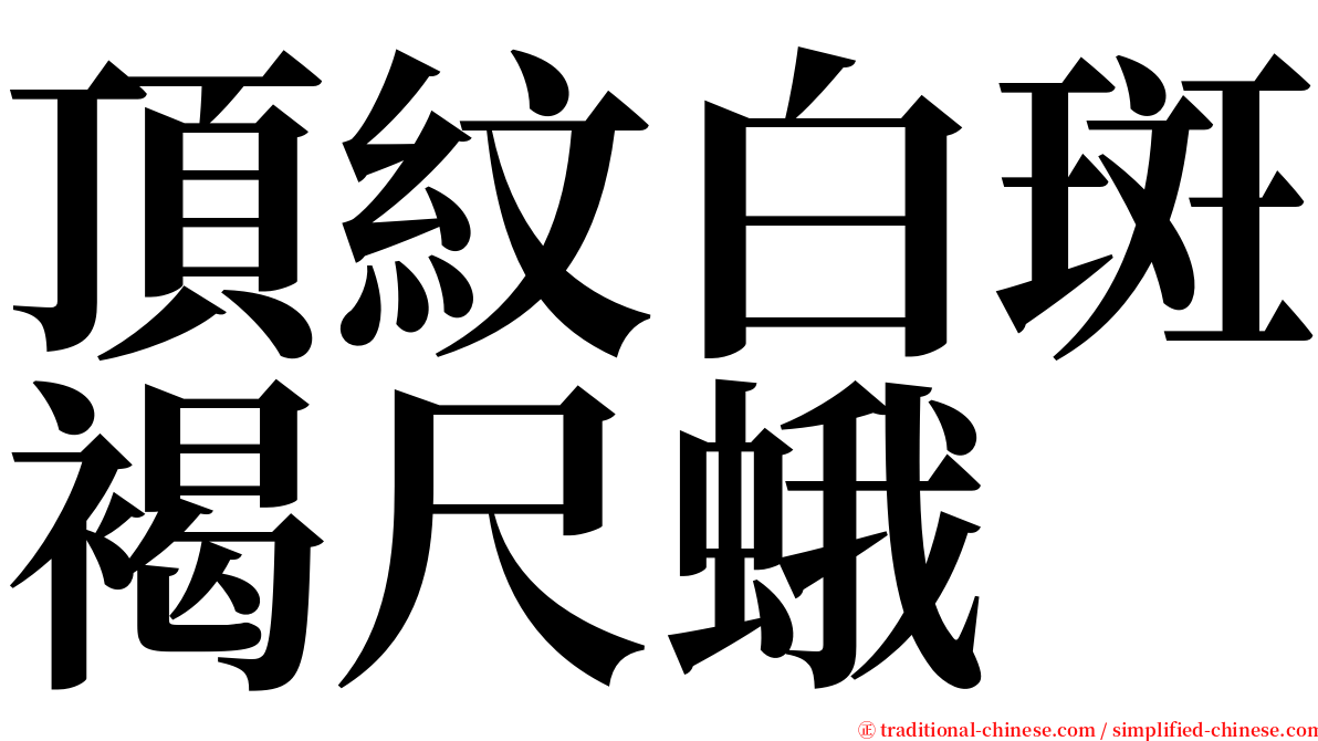 頂紋白斑褐尺蛾 serif font