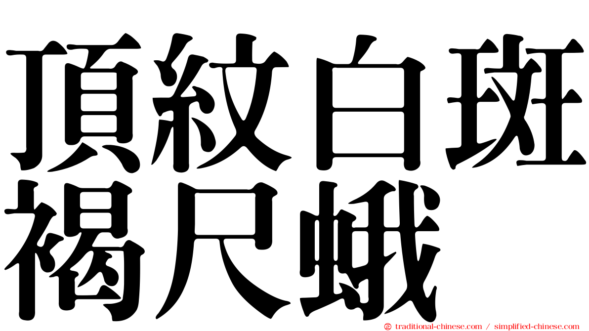 頂紋白斑褐尺蛾