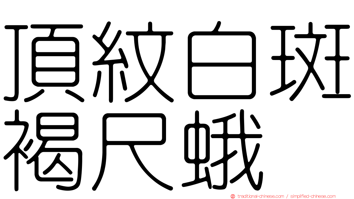 頂紋白斑褐尺蛾
