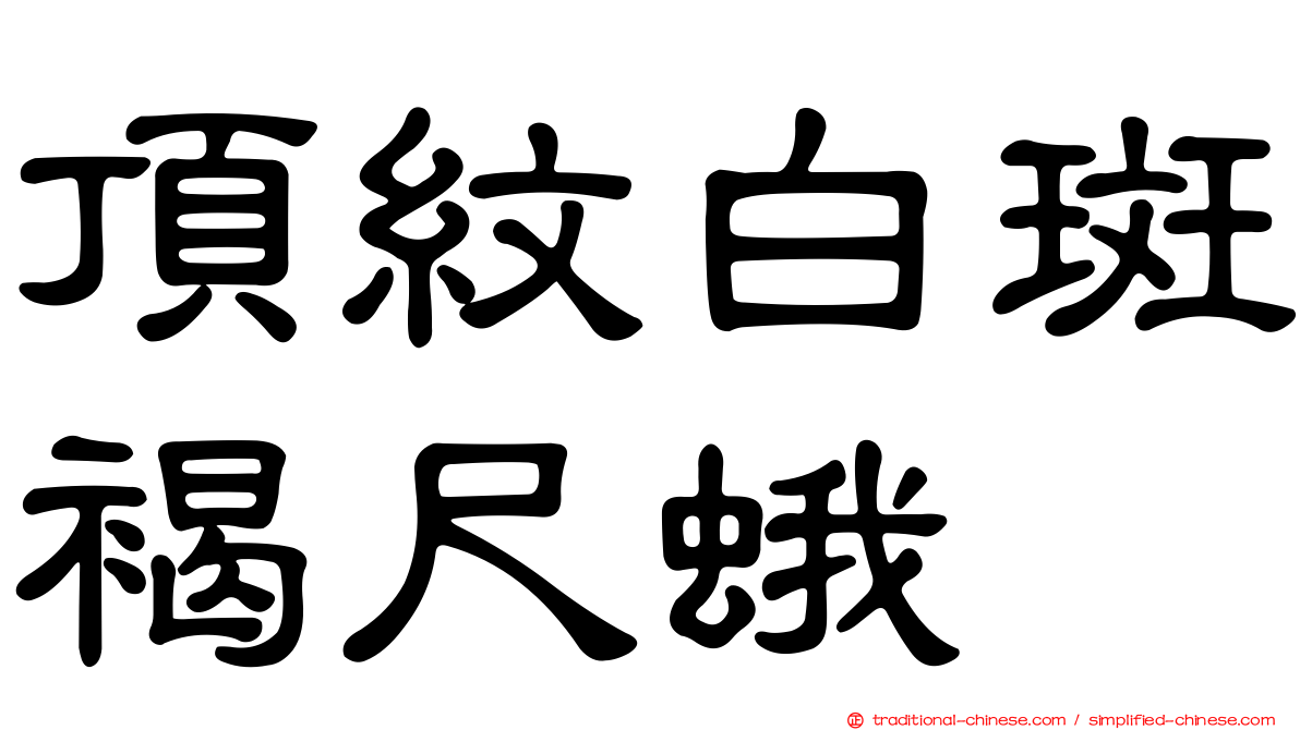 頂紋白斑褐尺蛾