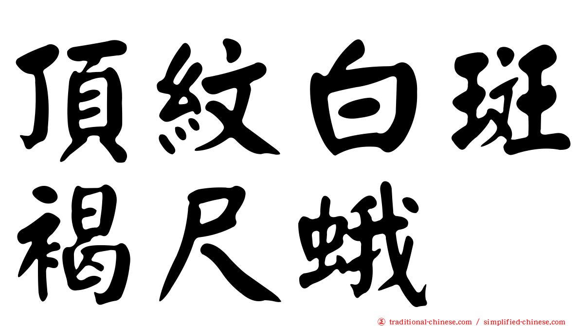 頂紋白斑褐尺蛾