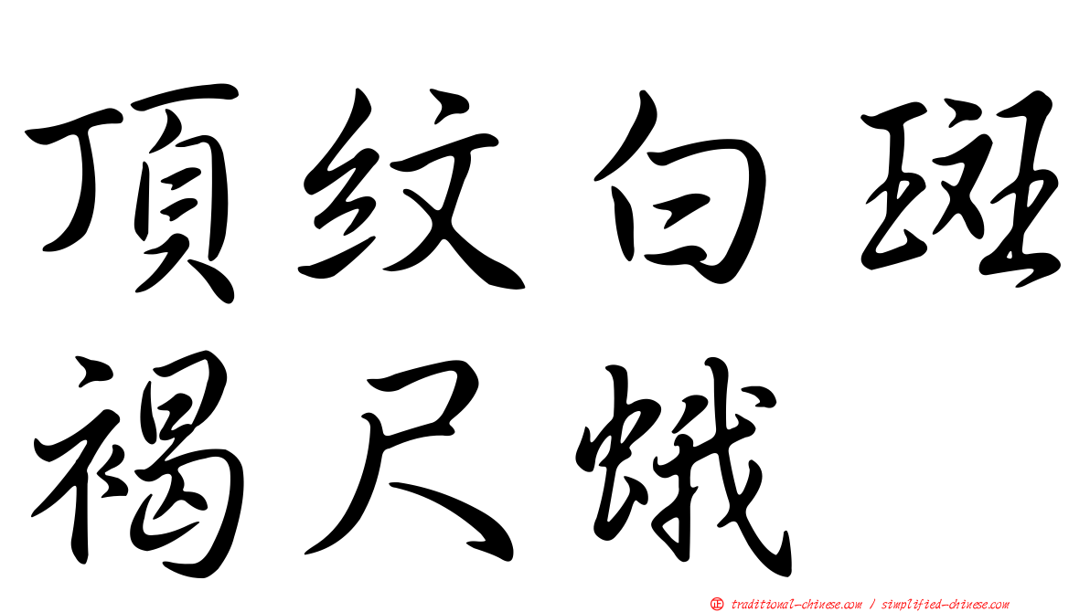 頂紋白斑褐尺蛾