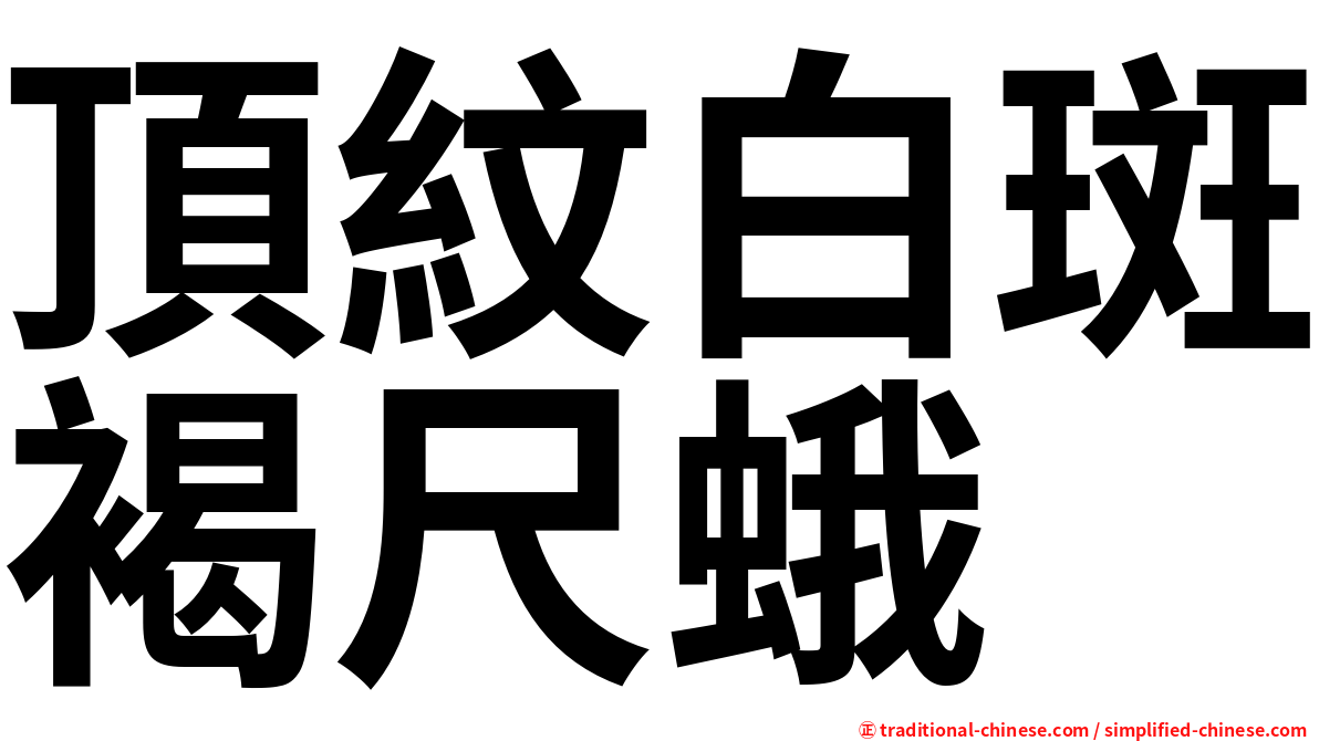 頂紋白斑褐尺蛾