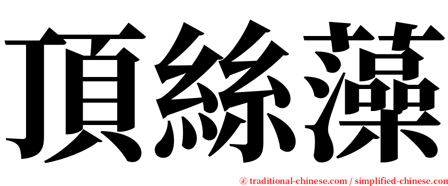 頂絲藻 serif font