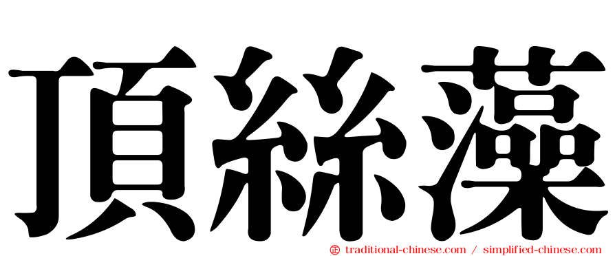 頂絲藻