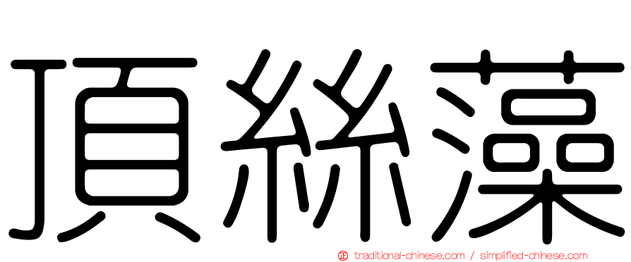頂絲藻
