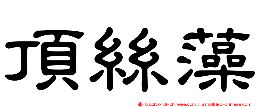 頂絲藻