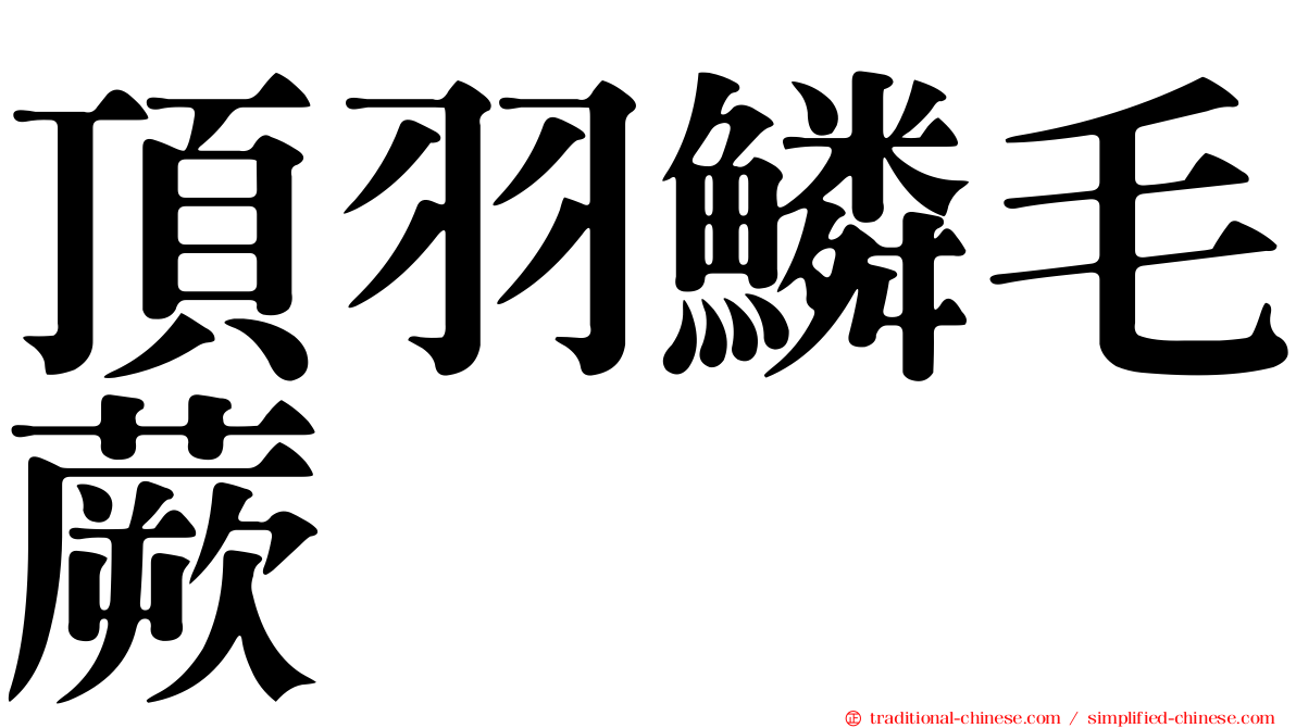 頂羽鱗毛蕨