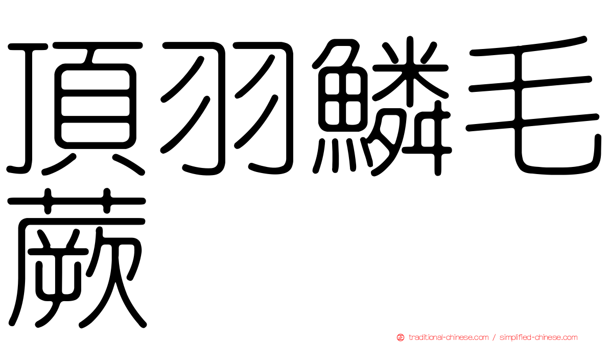頂羽鱗毛蕨