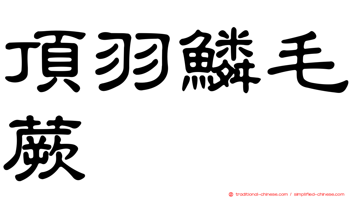 頂羽鱗毛蕨