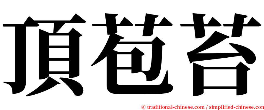 頂苞苔 serif font