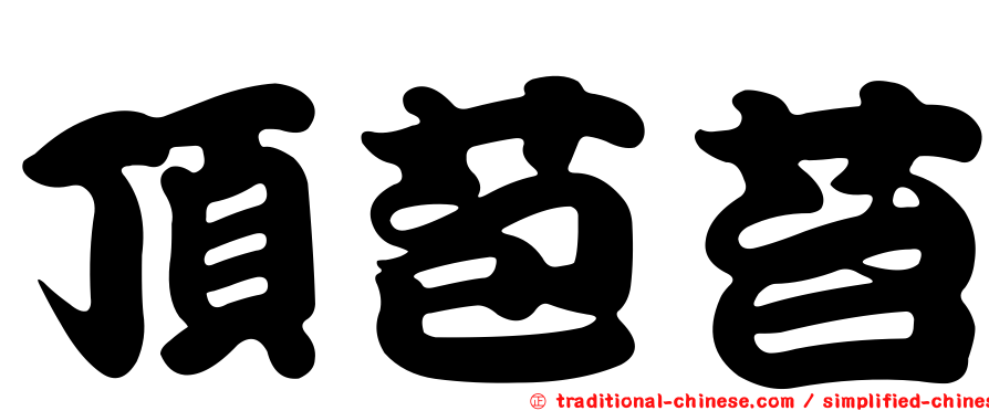 頂苞苔