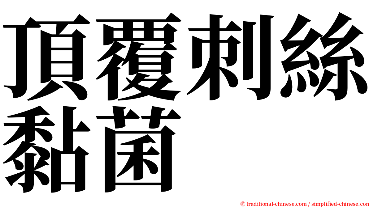 頂覆刺絲黏菌 serif font