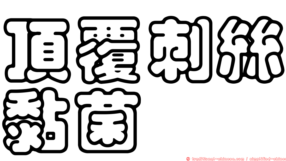 頂覆刺絲黏菌