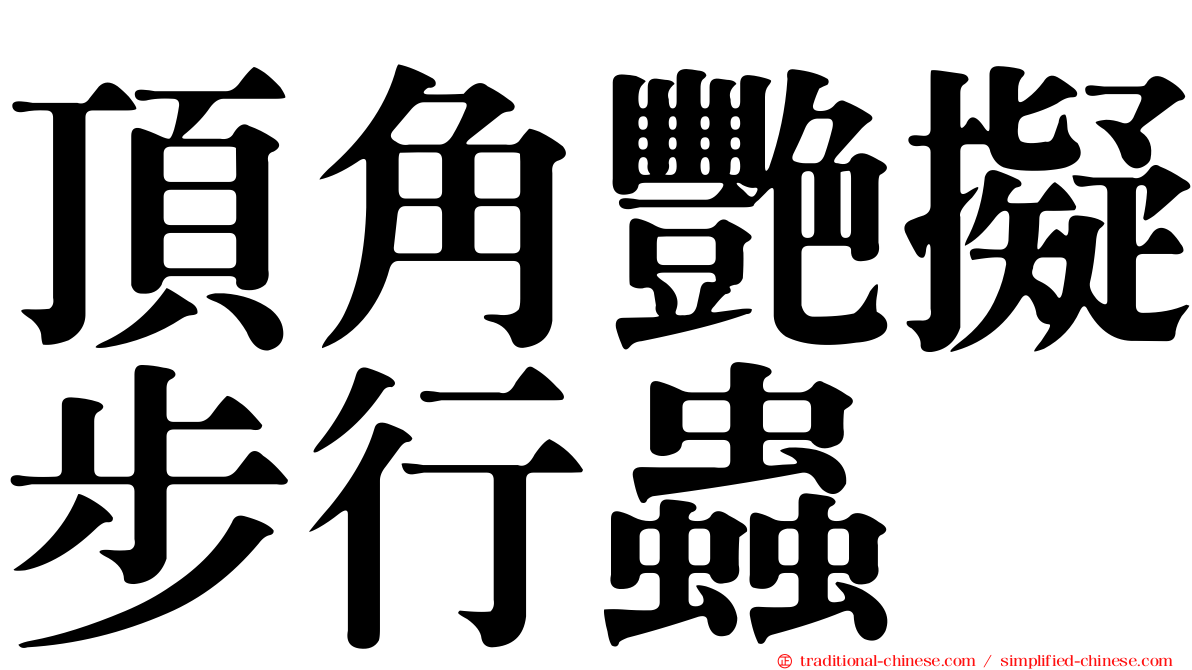 頂角艷擬步行蟲