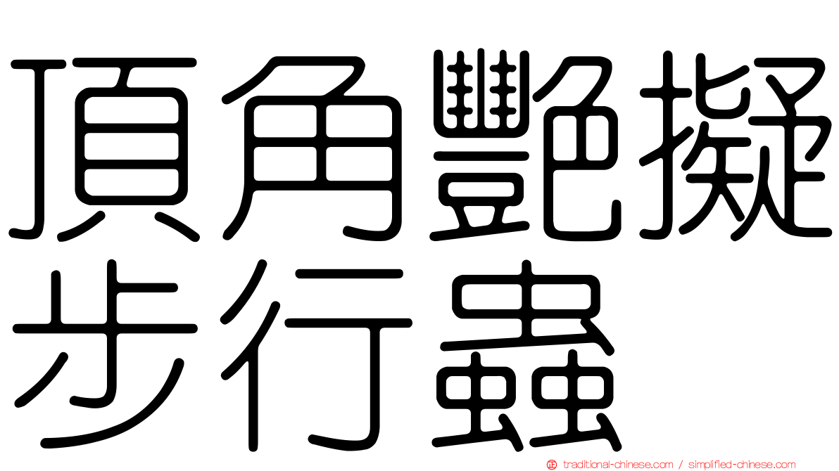 頂角艷擬步行蟲