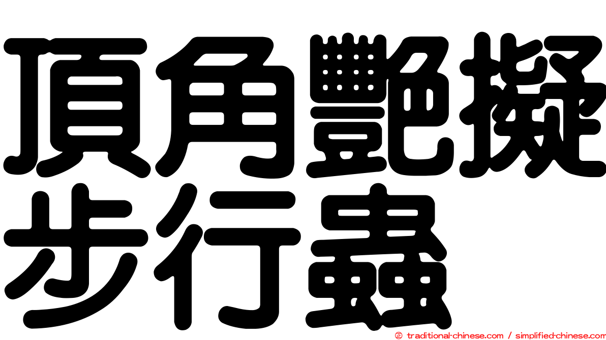 頂角艷擬步行蟲