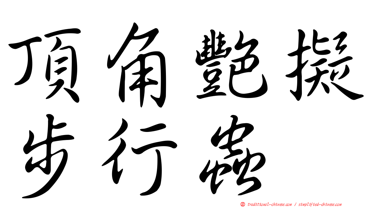 頂角艷擬步行蟲