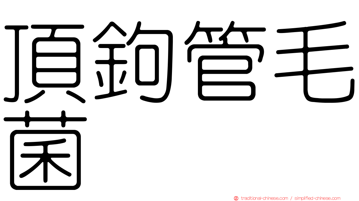 頂鉤管毛菌