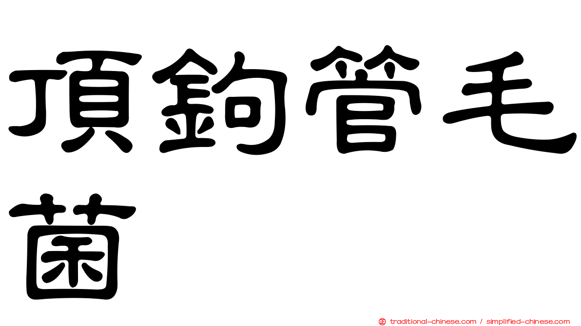 頂鉤管毛菌