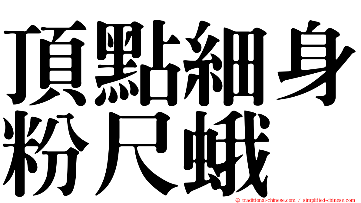 頂點細身粉尺蛾