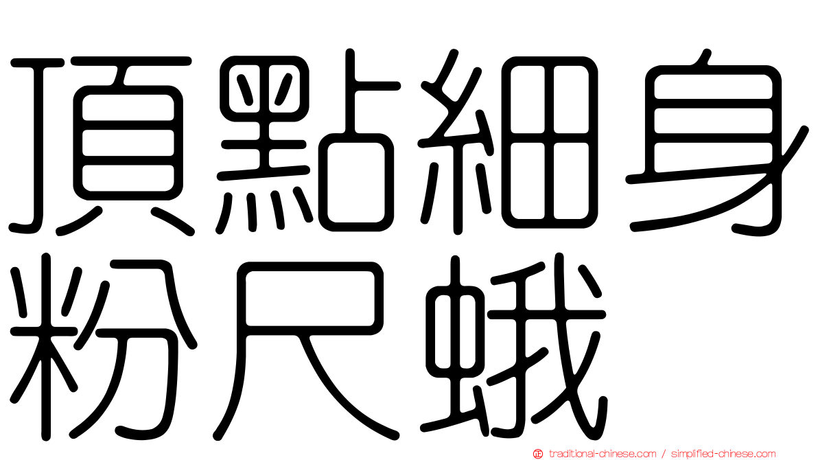 頂點細身粉尺蛾