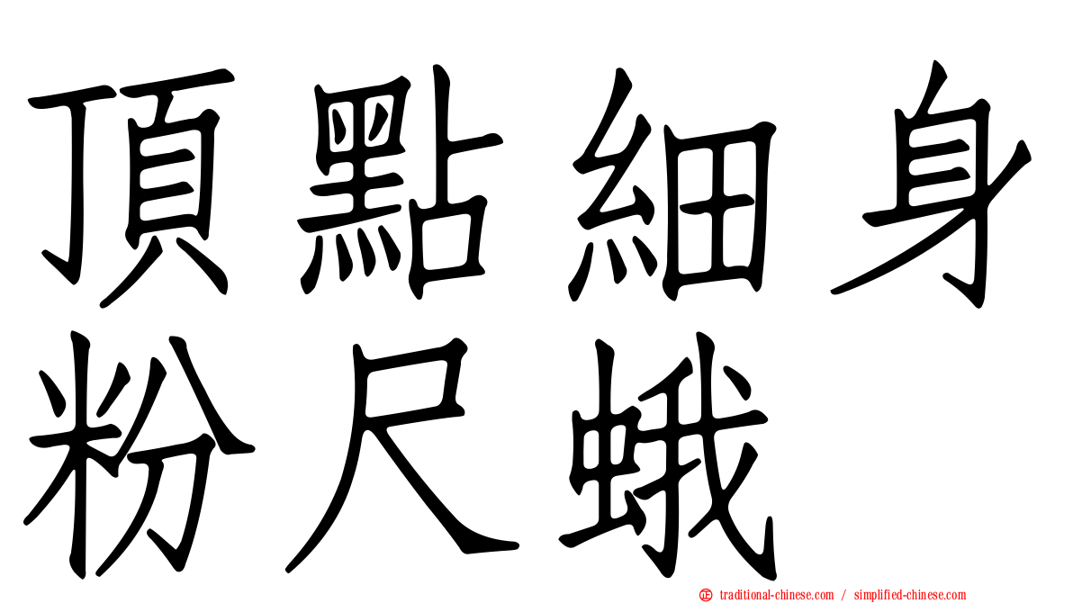 頂點細身粉尺蛾